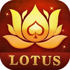 teen patti raja download old version download